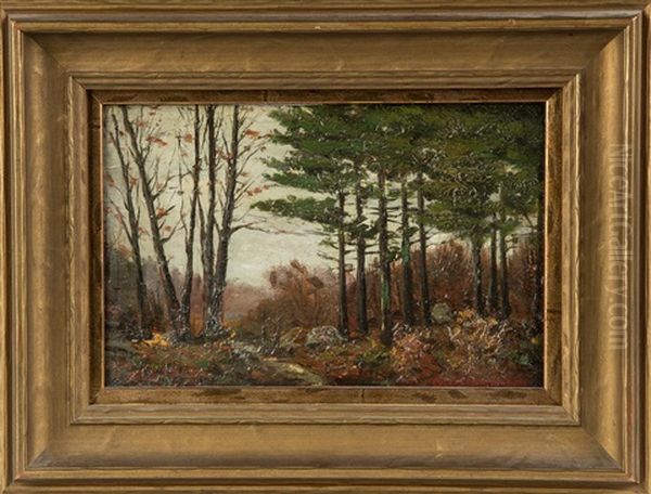 Woodland Stream With Pine Trees Oil Painting by Charles Warren Eaton