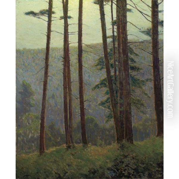 In Pennsylvania Woods (silhouette Pines) Oil Painting by Charles Warren Eaton