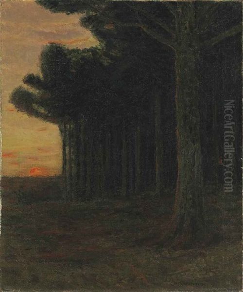 White Pine Trees, Connecticut Oil Painting by Charles Warren Eaton