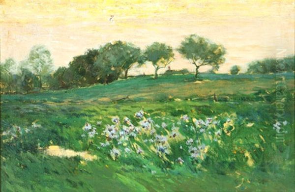 California Landscape With Field Of Purple Irises by Charles Warren Eaton