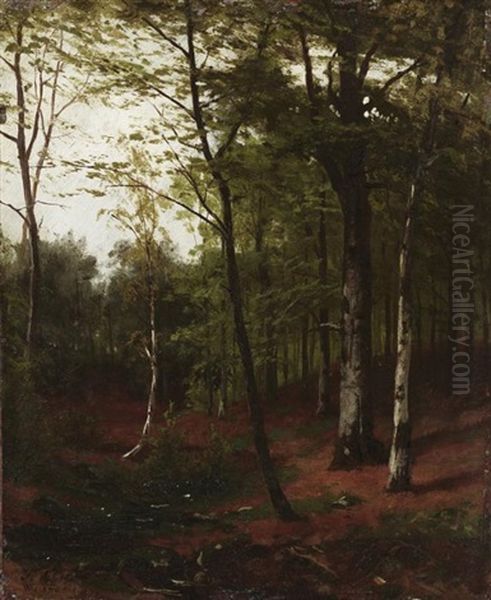 Im Birkenwald Oil Painting by Fritz Carl Werner Ebel