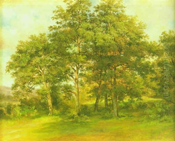 Sonnenbeschienene Waldlichtung Oil Painting by Carl Ebert