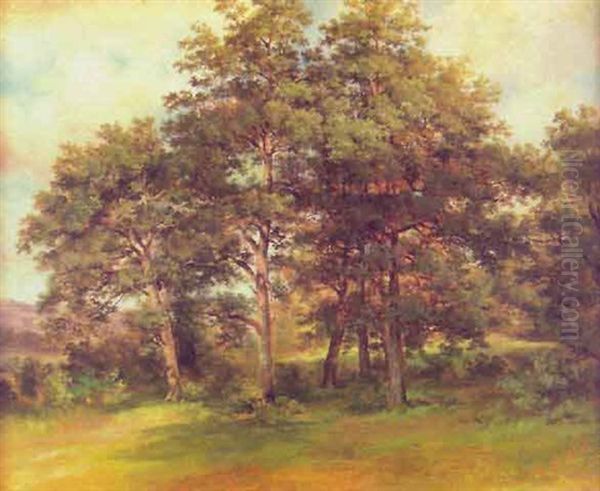 Sonnenbeschienene Waldlichtung Oil Painting by Carl Ebert