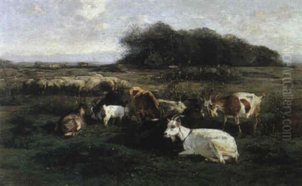 Grazing Sheep And Goats Oil Painting by Friedrich Eckenfelder