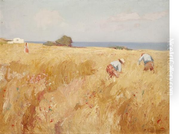 In The Field Oil Painting by Mihalis Economou