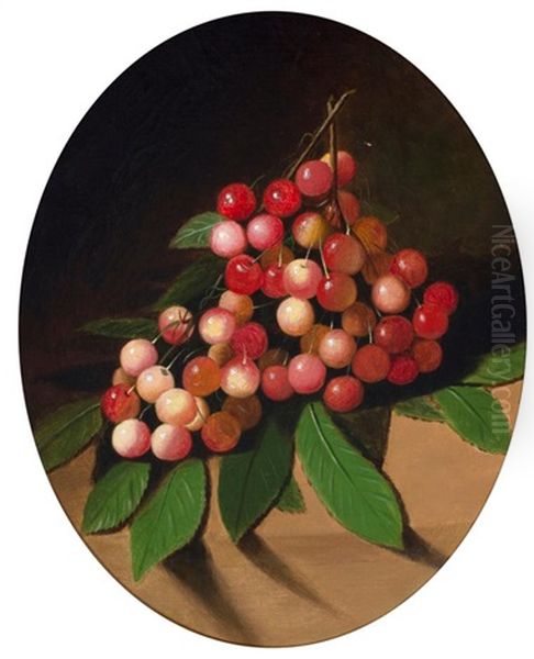 Grapes Oil Painting by Daniel Edmondson