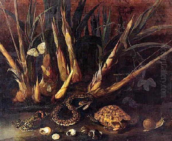 A Species Of Passiflora With A Pit Viper, Tortoise And Other Animals Within Undergrowth Of Sugar Cane Oil Painting by Albert van der Eeckhout