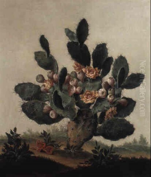 A Still Life Of A Cactus Oil Painting by Albert van der Eeckhout