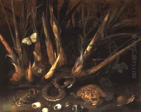 Sugar Cane And A Species Of Passiflora With Reptiles And Seashells Oil Painting by Albert van der Eeckhout