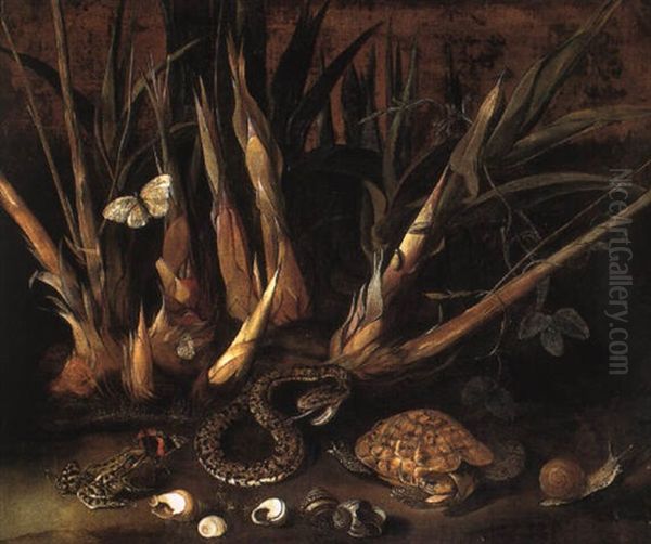 Sugar Cane And A Species Of Passiflora With A Pit Viper And Other Animals Oil Painting by Albert van der Eeckhout