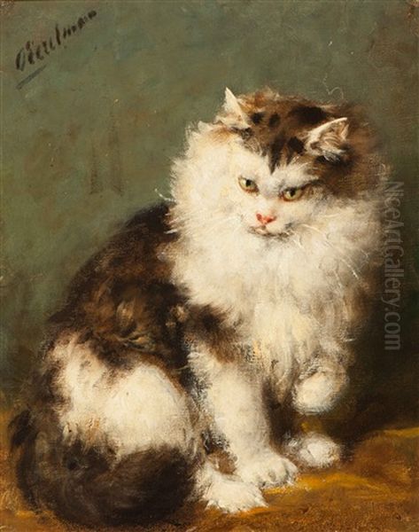 Ragdoll Cat Oil Painting by Otto Eerelman