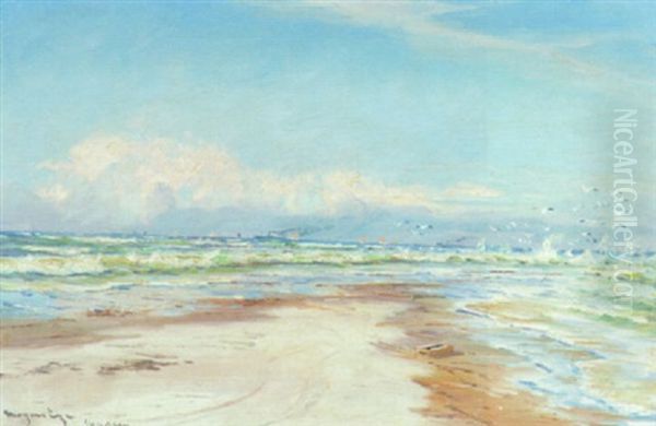 Marine Fra Grenen Med Skibe Pa Havet Oil Painting by Mogens Ege