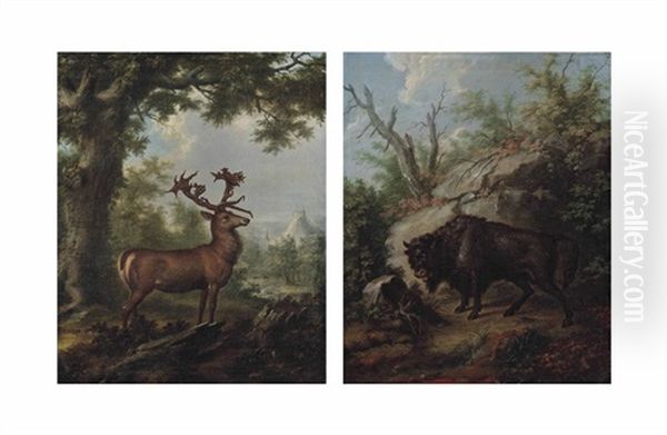 A Stag In A Wooded Landscape (+ A Musk Ox In A Wooded Landscape; Pair) Oil Painting by Georg Adam Eger