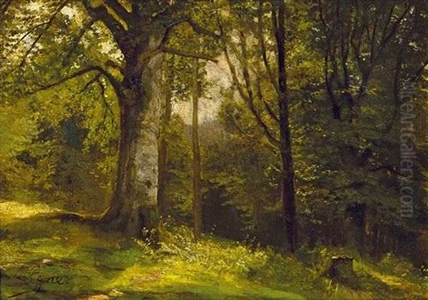 Forest Scene With Leaf Trees by Marie Egner