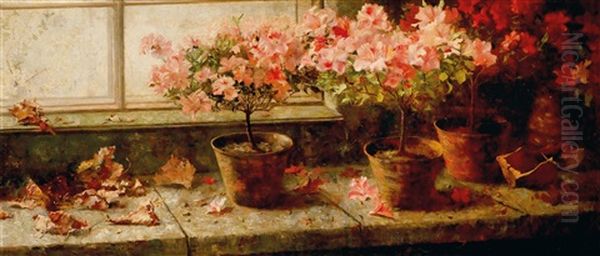 Flowering Azaleas By The Window Oil Painting by Marie Egner