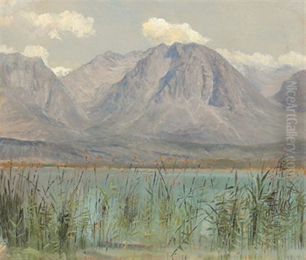 Blick Uber Den Millstattersee Oil Painting by Marie Egner