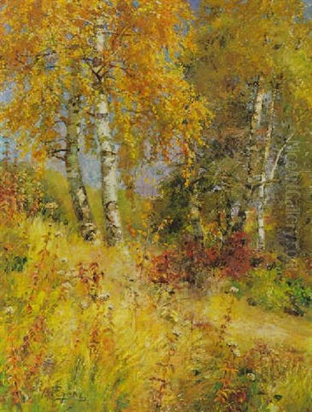 Birken In Einer Wiese In Sommerlicher Stimmung Oil Painting by Marie Egner