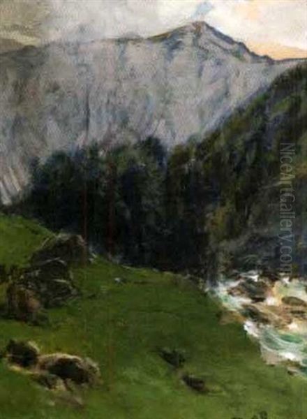 Gebirgslandschaft Mit Wildbach Oil Painting by Theodore von Ehrmanns