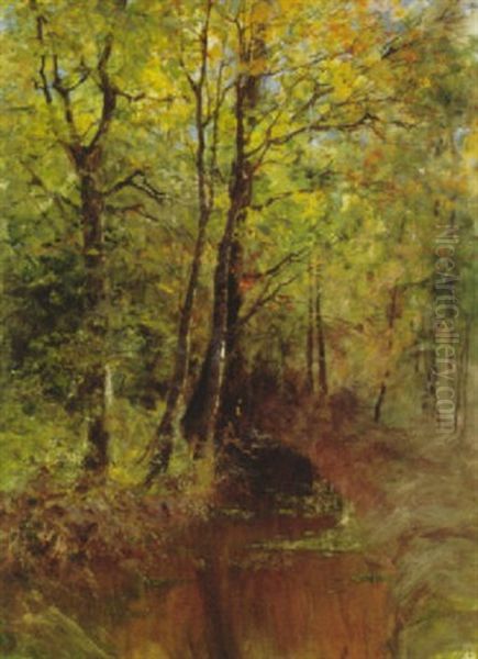 Waldgraben (sonniges Waldstuck Mit Bach) Oil Painting by Elisabeth Von Eicken