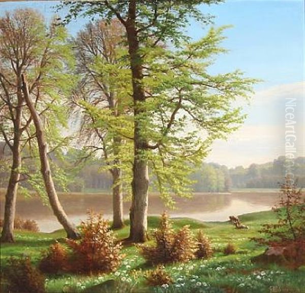 Deer At A Forest Lake Oil Painting by Eiler Rasmussen Eilersen