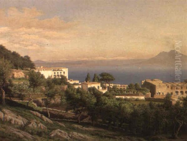 Capri With Vesuvius Beyond Oil Painting by Eiler Rasmussen Eilersen