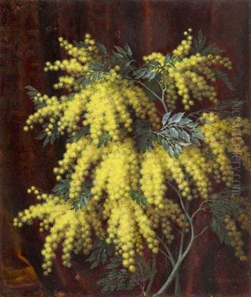 Mimozy Oil Painting by Stanislaw Ejsmond