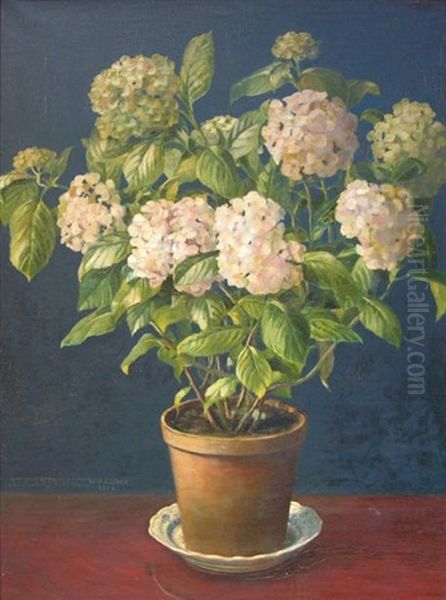 Nature Morte Au Pot De Hortensias Oil Painting by Stanislaw Ejsmond