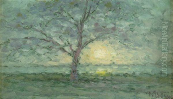 Sol Over Vatten - Strandlandskap Med Trad Oil Painting by Per Ekstroem