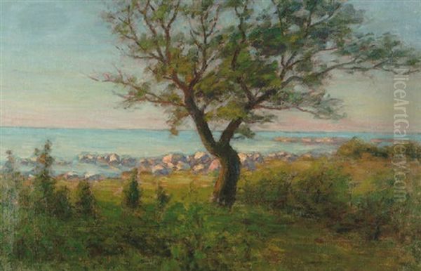 Afton Vid Havet - Strandlandskap Med Trad Oil Painting by Per Ekstroem