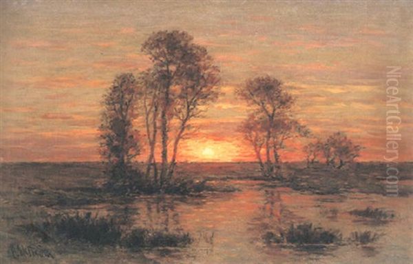 Solnedgang Oil Painting by Per Ekstroem