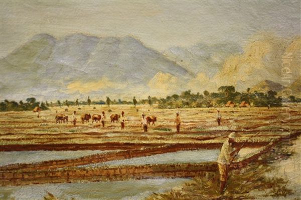 Indonesisch Landschap Met Rijstvelden En Bergen Oil Painting by Arthur Eland