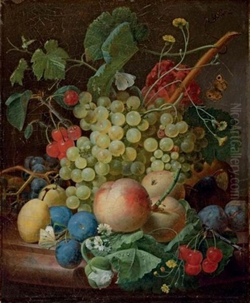 Grapes, Cherries, Peaches, Greengages, Plums, Daisies And A Butterfly On A Marble Ledge Oil Painting by Jean-Francois Eliaerts