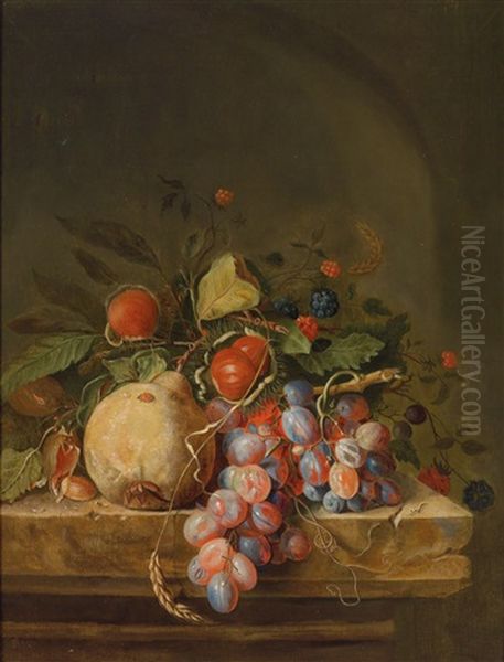 A Still Life Of Fruit Oil Painting by Ottmar Elliger the Elder