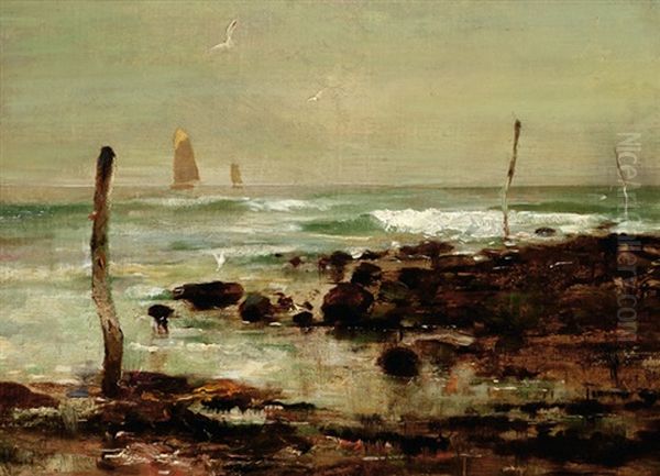 Seagulls On The Coast Oil Painting by Edwin John Ellis