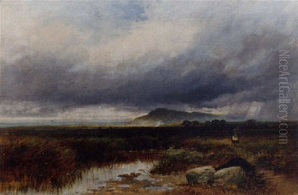 On The Arthog Moor, Wales Oil Painting by Paul H. Ellis