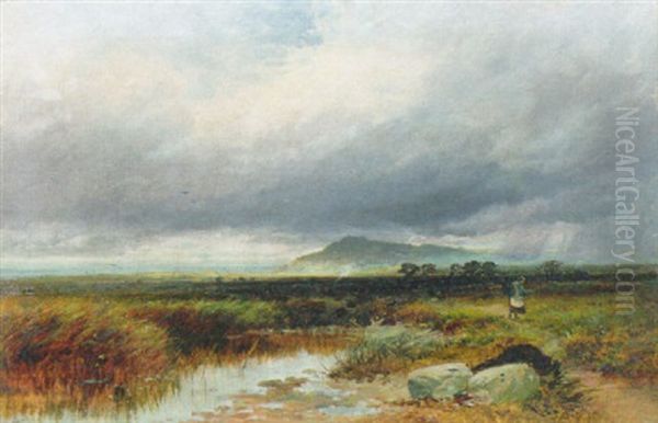 On The Arthog Moor, Wales Oil Painting by Paul H. Ellis