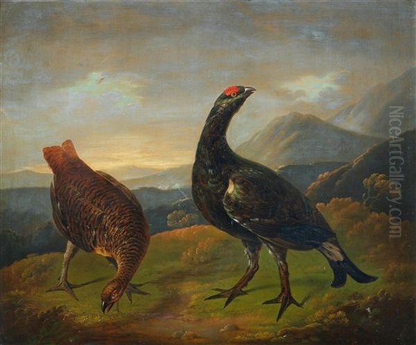 Red Grouse In A Highland Landscape; And A Black Cock And A Grey Hen (2) by Stephen Elmer