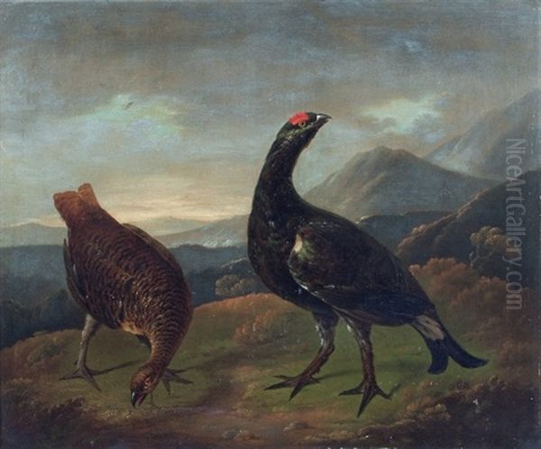 Studies Of Black Grouse, A Pair Oil Painting by Stephen Elmer