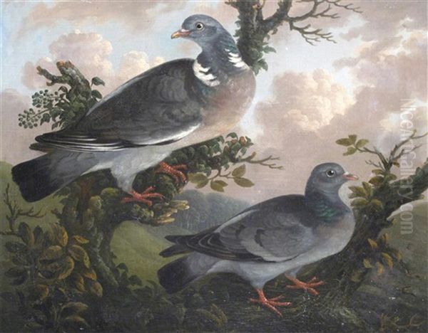 Pigeons On A Branch In A Landscape; Birds In A Wooded Landscape (a Pair) Oil Painting by Stephen Elmer