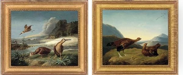 Red Grouse In A Highland Landscape (+ Woodcock In A River Landscape; Pair) Oil Painting by Stephen Elmer