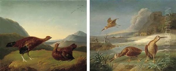 Red Grouse In A Highland Landscape (+ Woodcock In River Landscape; Pair) Oil Painting by Stephen Elmer