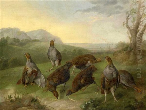 English Partridges In A Moorland Landscape Oil Painting by Stephen Elmer