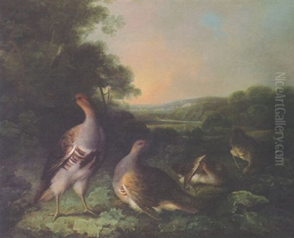 English Partridge In A Landscape Oil Painting by Stephen Elmer