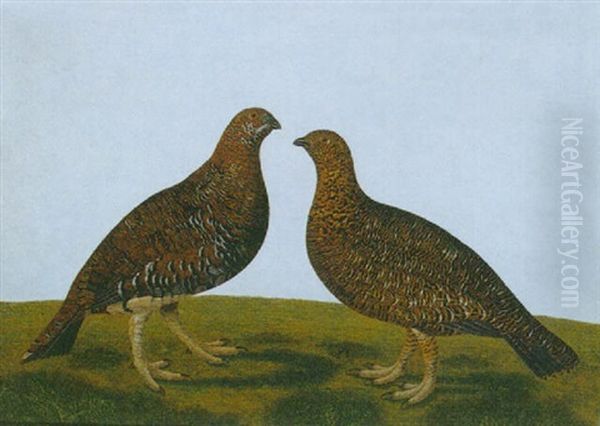 Two Partridges Oil Painting by Stephen Elmer