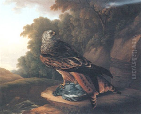 A Red Kite With A Rock Dove In A Woodland Landscape Oil Painting by Stephen Elmer