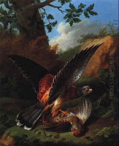 A Bird Of Prey With It's Kill Oil Painting by Stephen Elmer