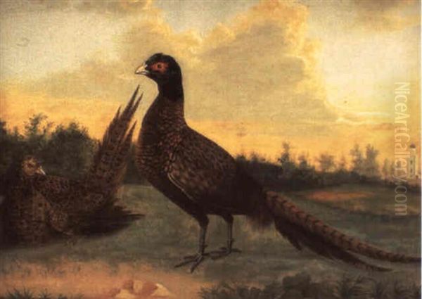 A Cock And Hen Pheasant In A Landscape Oil Painting by Stephen Elmer