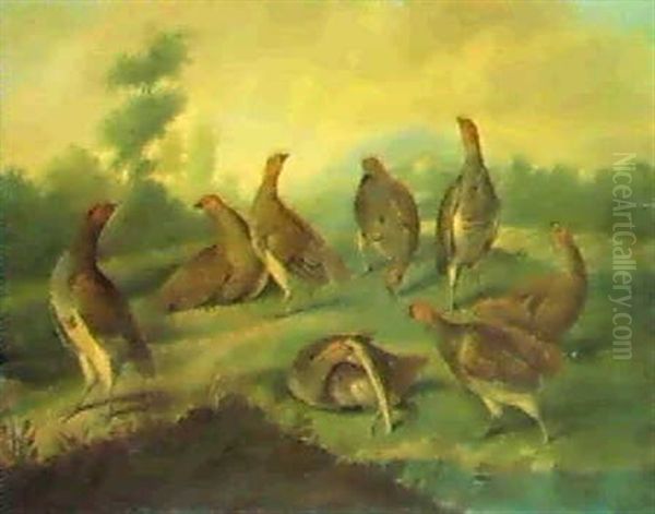 A Covey Of Partridges In An Extensive Wooded Landscape,     With A House Beyond Oil Painting by Stephen Elmer