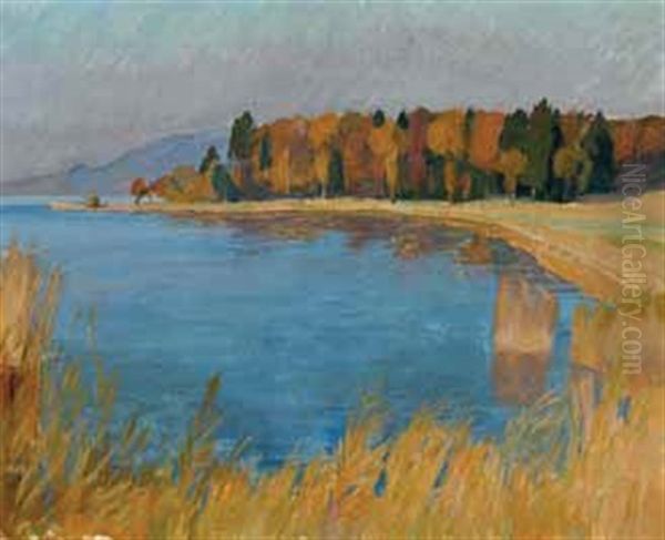 Herbst Am Hallwylersee Oil Painting by Franz Jakob Elmiger