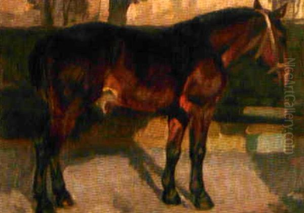 Stehendes Pferd Oil Painting by Franz Jakob Elmiger